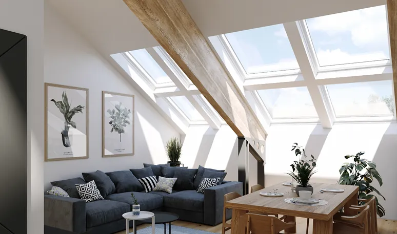 Velux Skylights